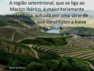 A região setentrional, que se liga ao Maciço Ibérico, é maioritariamente montanhosa, sulcada por uma série de vales fluviais, que constituem a baixa bacia do Douro.Bacia do Douro