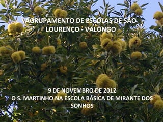 AGRUPAMENTO DE ESCOLAS DE SÃO
         LOURENÇO - VALONGO




            9 DE NOVEMBRO DE 2012
O S. MARTINHO NA ESCOLA BÁSICA DE MIRANTE DOS
                   SONHOS
 