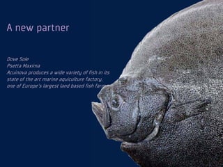 A new partner

Dove Sole
Psetta Maxima
Acuinova produces a wide variety of fish in its
state of the art marine aquiculture factory,
one of Europe's largest land based fish farm.
 