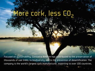More cork, less CO2




Focused on sustainability, Corticeira Amorim has contributed to the preservation of
thousands of oak trees, to biodiversity and to the prevention of desertification. The
company is the world’s largest cork manufacturer, exporting to over 100 countries.
 