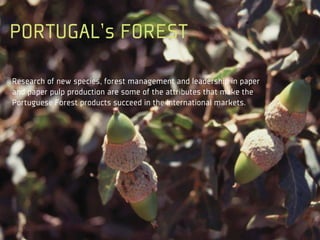PORTUGAL’s FOREST

Research of new species, forest management and leadership in paper
and paper pulp production are some of the attributes that make the
Portuguese Forest products succeed in the international markets.
 
