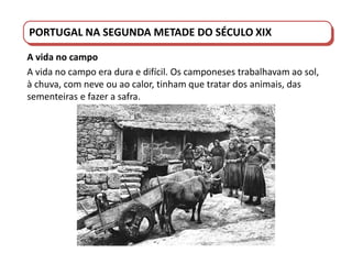 PORTUGAL DO SÉCULO XVIII AO SÉCULO XIX
PORTUGAL NA SEGUNDA METADE DO SÉCULO XIX
A vida no campo
A vida no campo era dura e difícil. Os camponeses trabalhavam ao sol,
à chuva, com neve ou ao calor, tinham que tratar dos animais, das
sementeiras e fazer a safra.
 