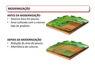 PORTUGAL DO SÉCULO XVIII AO SÉCULO XIX
MODERNIZAÇÃO
ANTES DA MODERNIZAÇÃO
• Extensa área em pousio.
• Área cultivada com o mesmo
tipo de produto.
DEPOIS DA MODERNIZAÇÃO
• Redução da área de pousio.
• Alternância de culturas.
 