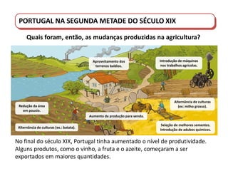 PORTUGAL DO SÉCULO XVIII AO SÉCULO XIX
Quais foram, então, as mudanças produzidas na agricultura?
Introdução de máquinas
nos trabalhos agrícolas.
Redução da área
em pousio.
Aproveitamento dos
terrenos baldios.
Aumento da produção para venda.
Alternância de culturas (ex.: batata).
Alternância de culturas
(ex: milho grosso).
Seleção de melhores sementes.
Introdução de adubos químicos.
No final do século XIX, Portugal tinha aumentado o nível de produtividade.
Alguns produtos, como o vinho, a fruta e o azeite, começaram a ser
exportados em maiores quantidades.
PORTUGAL NA SEGUNDA METADE DO SÉCULO XIX
 
