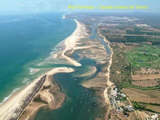 Ria Formosa – Cacela a barra de Tavira
 