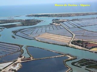 Barra de Tavira - Algarve
 