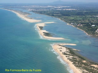 Ria Formosa-Barra da Fuzeta
 