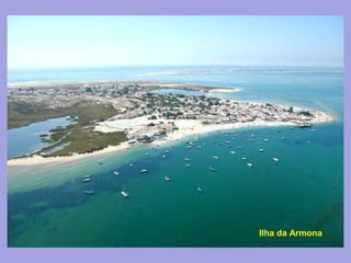 Ilha da Armona
 