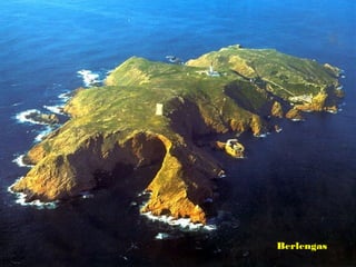 Berlengas
 