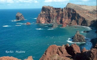 Rochés Madeira 
 