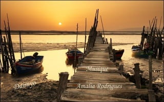 Musique 
Amalia Rodrigues 
Daimyo 
