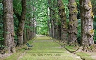 Parc Terra Nostra Azores 
 
