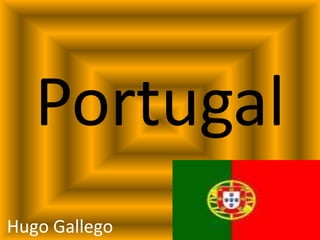 Hugo Gallego
Portugal
 