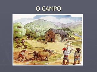 O CAMPO 