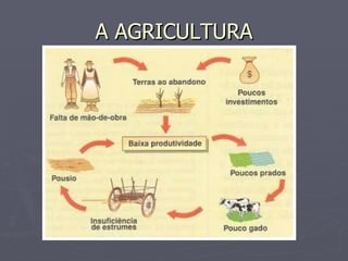 A AGRICULTURA 