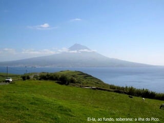 Ei-la, ao fundo, soberana: a ilha do Pico. 