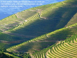 A mais antiga região demarcada do mundo onde um microclima e uma arte refinada produzem um dos melhores vinhos do Globo. 