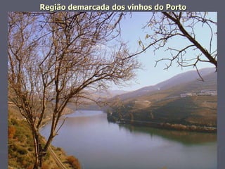Região demarcada dos vinhos do Porto 