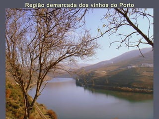 Região demarcada dos vinhos do PortoRegião demarcada dos vinhos do Porto
 