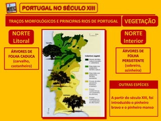 PORTUGAL NO SÉCULO XIII
TRAÇOS MORFOLÓGICOS E PRINCIPAIS RIOS DE PORTUGAL VEGETAÇÃO
NORTE
Litoral
NORTE
Interior
ÁRVORES DE
FOLHA CADUCA
(carvalho,
castanheiro)
ÁRVORES DE
FOLHA
PERSISTENTE
(sobreiro,
azinheira)
A partir do século XIII, foi
introduzido o pinheiro
bravo e o pinheiro manso
OUTRAS ESPÉCIES
 