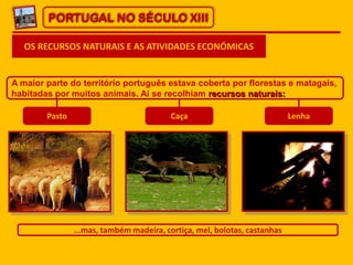 PORTUGAL NO SÉCULO XIII
OS RECURSOS NATURAIS E AS ATIVIDADES ECONÓMICAS

A maior parte do território português estava cobe...