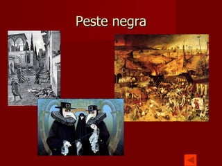 Peste negra 
