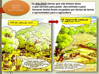 N O VA S
Á R E A S
C U LT I VA D A S
Os BALDIOS (terras que não tinham dono
e que serviam para pasto dos animais e para
fornecer lenha) foram ocupados por donos de terras
e aproveitados para a agricultura
 