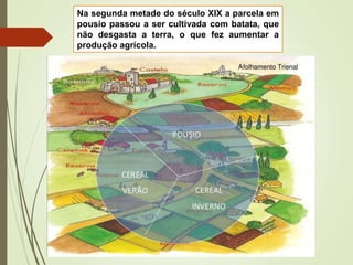 Na segunda metade do século XIX a parcela em
pousio passou a ser cultivada com batata, que
não desgasta a terra, o que fez aumentar a
produção agrícola.
 