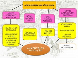 AGRICULTURA NO SÉCULO XIX
•FIM DA LEI DO
MORGADIO
• BURGUESES E
ALGUNS
CAMPONESES
TORNAM-SE
DONOS DE
TERRAS
NOVOS
PROPRIETÁRIOS
AGRICOLAS
• FIM DO
POUSIO
NOVAS
ÁREAS DE
CULTIVO
•OCUPAÇÃO
DOS BALDIOS
NOVAS
TÉCNICAS
AGRÍCOLAS
NOVOS
INSTRUMENTOS
AGRÍCOLAS
•CHARRUA DE
FERRO
• DEBULHADORA
• CEIFEIRA
MECÂNICA
•MUITO
DESEMPREGO
A U M E N T O D A
P R O D U Ç Ã O
 