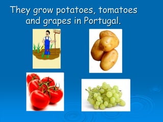 They grow potatoes, tomatoes
and grapes in Portugal.
 