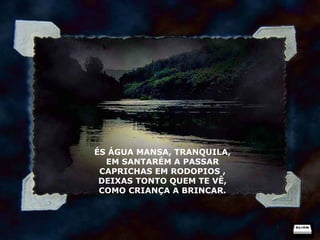 ÉS ÁGUA MANSA, TRANQUILA, EM SANTARÉM A PASSAR CAPRICHAS EM RODOPIOS , DEIXAS TONTO QUEM TE VÊ, COMO CRIANÇA A BRINCAR. 