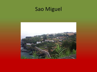 Sao Miguel
 