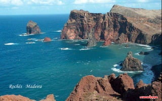 Rochés Madeira