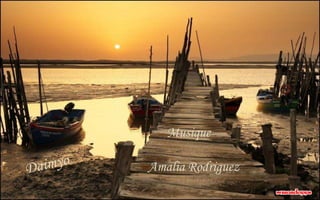 Musique
Amalia Rodriguez