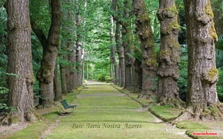Parc Terra Nostra Azores
