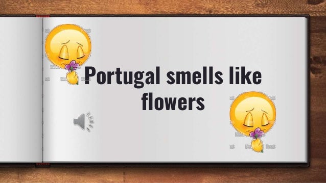 portugal-smells-like-flowers-erasmus-1-6