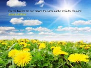For the flowers the sun means the same as the smile for mankind.
Joseph Addison
 
