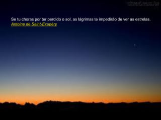 Se tu choras por ter perdido o sol, as lágrimas te impedirão de ver as estrelas.
Antoine de Saint-Exupéry
 