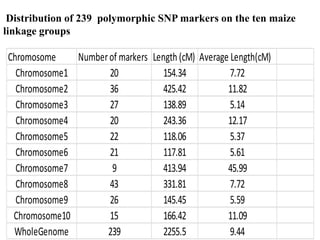 Distribution of 239 polymorphic SNP markers on the ten maize
linkage groups
Chromosome Numberof markers Length (cM) Averag...