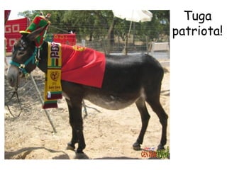 Tuga patriota! 