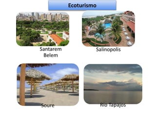 Ecoturismo




Santarem            Salinopolis
 Belem




Soure                   Río Tapajos
 