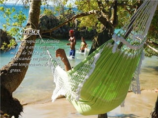 CLIMA O clima tropical predomina em todo o ano, com uma média de 26/28 graus, refrescando em julho e agosto com temperaturas de 24/26 graus . 