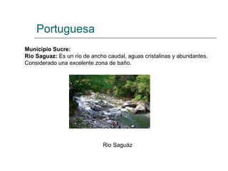 Portuguesa
Municipio Sucre:
Río Saguaz: Es un río de ancho caudal, aguas cristalinas y abundantes.
Considerado una excelente zona de baño.




                             Rio Saguáz
 