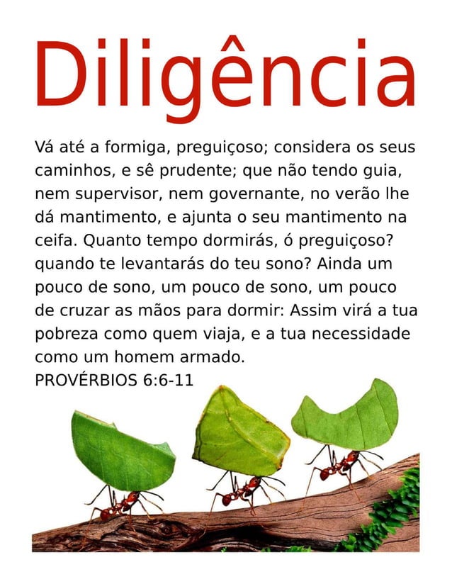 Portuguese Motivational Diligence Tract