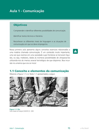 Aula 1 - Comunicação



       Objetivos

       Compreender e identificar diferentes possibilidades de comunicação.

       Identificar textos técnicos e literários.

       Reconhecer os diferentes níveis de linguagem e as situações de
       comunicação em que se deve empregá-los.

Nossa primeira aula apresenta alguns conceitos essenciais relacionados a
uma matéria chamada comunicação. É um conteúdo muito importante,
uma vez que vivemos em uma sociedade cujas fronteiras se tornaram líqui-
das, ou seja, maleáveis, dadas às inúmeras possibilidades de ultrapassá-las
utilizando-nos do imenso arsenal tecnológico de que dispomos. Boa incur-
são no universo que ora se inicia!



1.1 Conceito e elementos da comunicação
Observe a Figura 1.1 e o Texto 1.1 apresentados a seguir.




Figura 1.1: Pés
Fonte: Equipe de Produção CEAD/IFES © - 2009




Aula 1 - Comunicação                                                         15   e-Tec Brasil
 