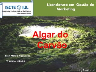 Licenciatura em Gestão de
Marketing
Algar do
Carvão
Iván Mateo Nogueras
Nº Aluno 42636
24 Avril 2012
 
