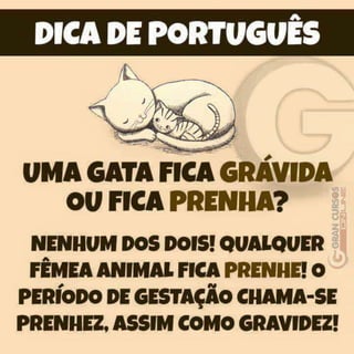 Dicas de Português