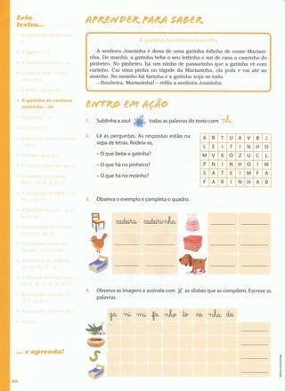 Português  estudar para os testes - 1º ano