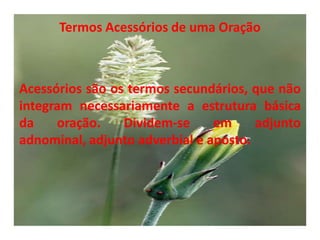 Termos Acessórios de uma Oração Acessórios são os termos secundários, que não integram necessariamente a estrutura básica da oração. Dividem-se em adjunto adnominal, adjunto adverbial e aposto.