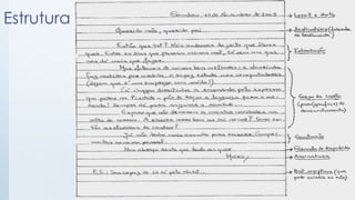 Estrutura
 